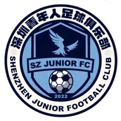 深圳青年人
